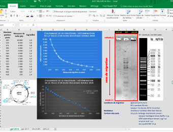 Ecran du logiciel de pilotage du bior&eacute;acteur de laboratoire, lyc&eacute;e Paul Eluard de St-Denis (photo A.Gaudin)