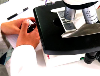 Ecran du logiciel de pilotage du bior&eacute;acteur de laboratoire, lyc&eacute;e Paul Eluard de St-Denis (photo A.Gaudin)