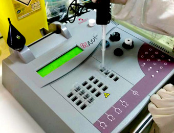 Chargement d'un gel d'&eacute;lectrophor&egrave;se par un &eacute;l&egrave;ve, lyc&eacute;e Louis Bertrand &agrave; Briey (photo S.Droguet)