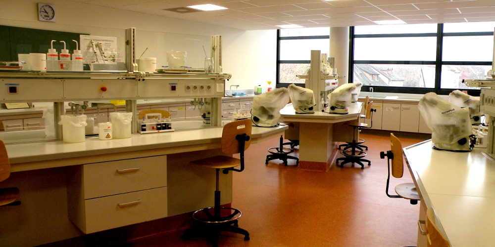 Laboratoires NSB2, lyc&eacute;e Jean Rostand &agrave; Strasbourg (photo A.Meyer)