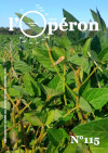 operon-couv-pasdimage-mini