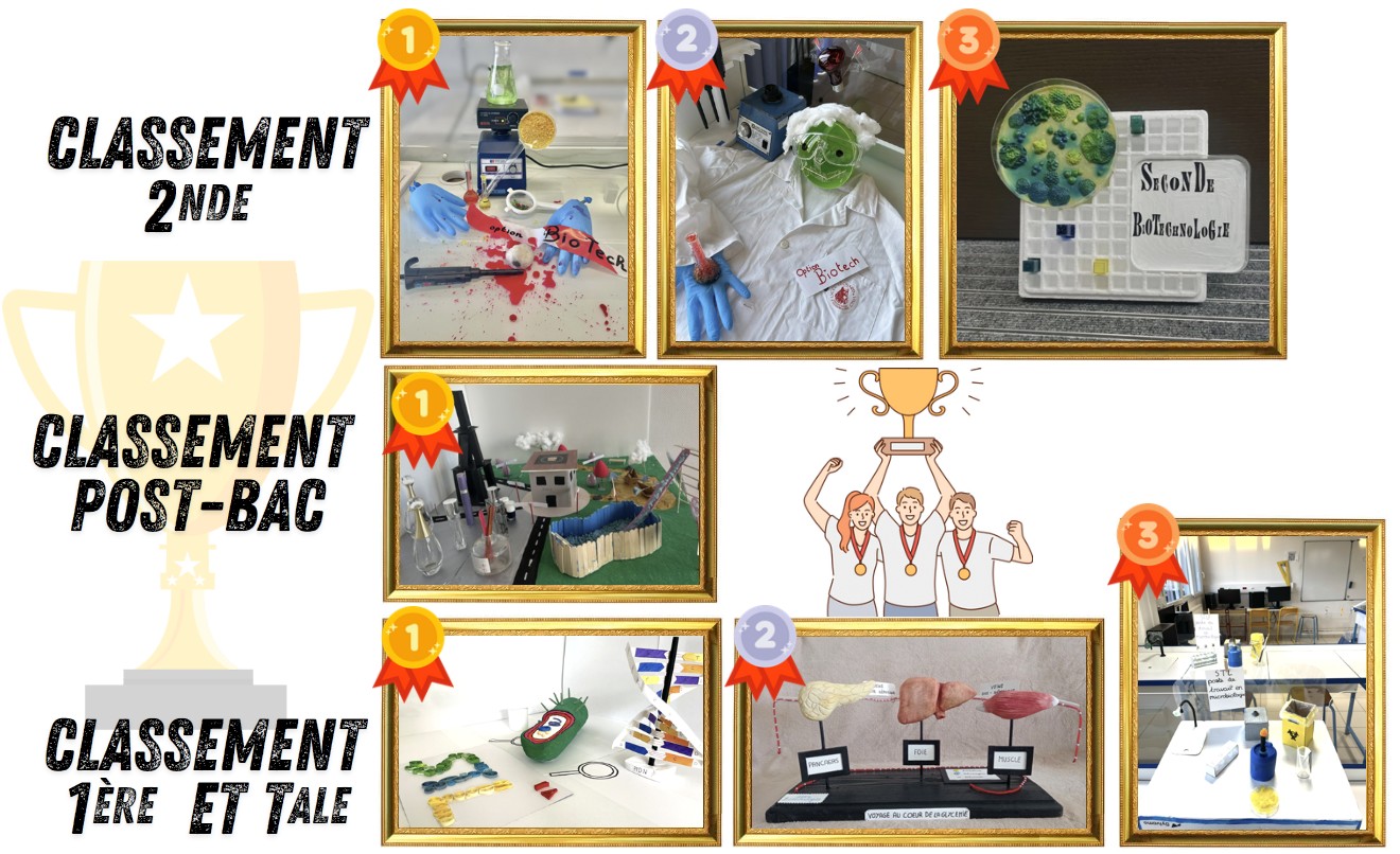 classement final insta 2025